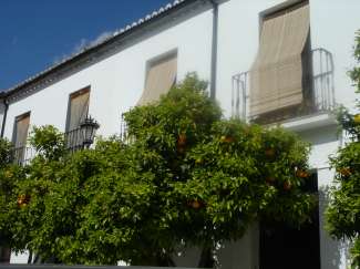 DSC09609.JPG